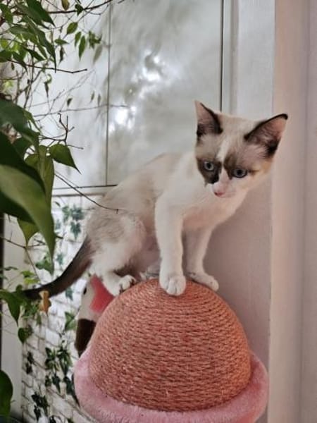 NALA - ein absolutes Goldstück!