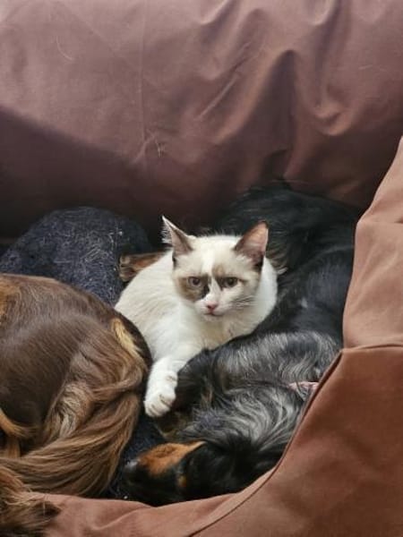 NALA - ein absolutes Goldstück!