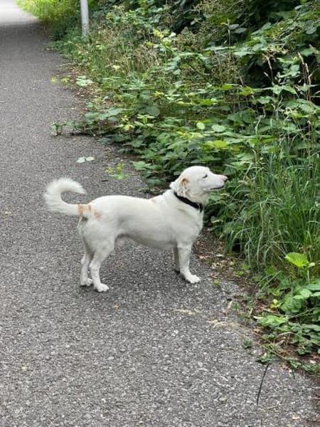Luca ist ein Goldschatz