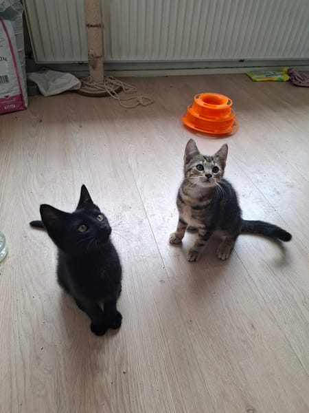 Jules en James