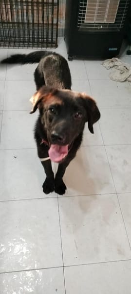 Holly ist in Deutschland