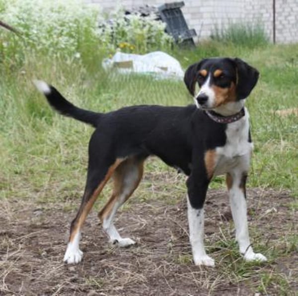 Jette - bezaubernde Mama sucht Familie