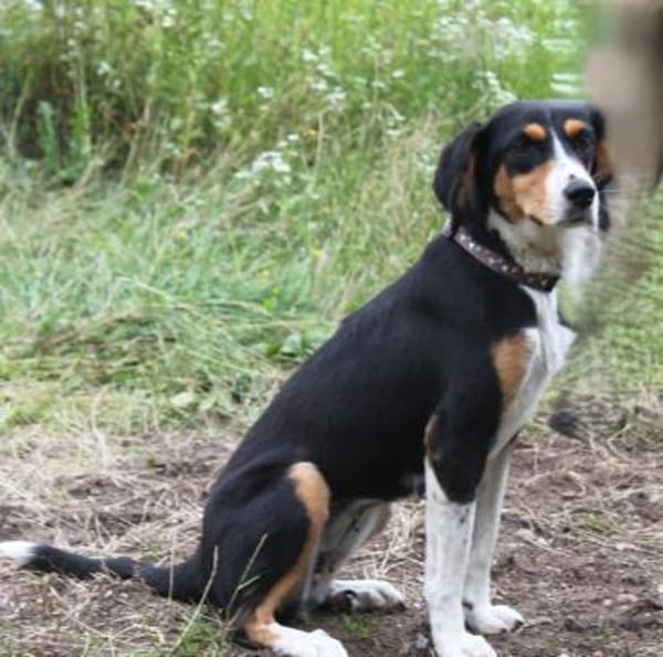 Jette - bezaubernde Mama sucht Familie