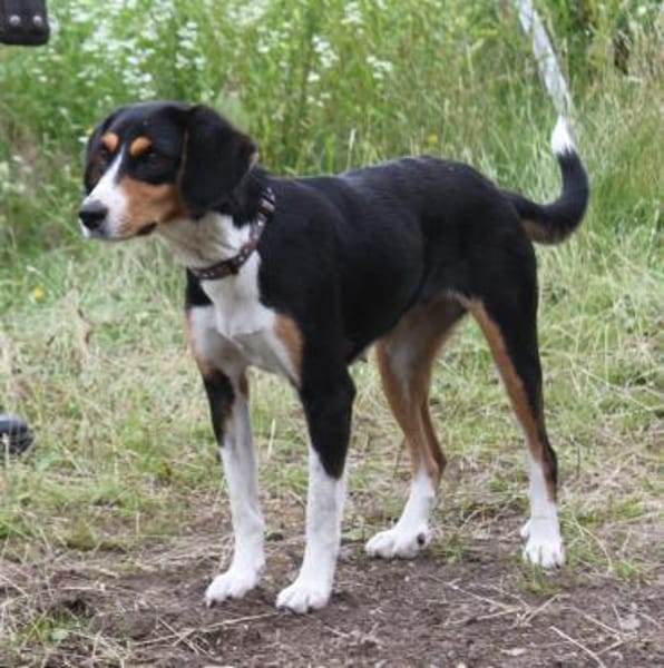 Jette - bezaubernde Mama sucht Familie