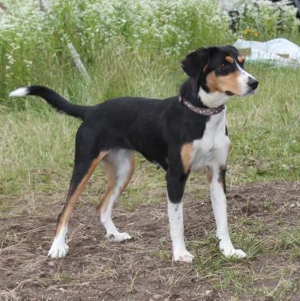 Jette - bezaubernde Mama sucht Familie