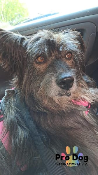 Betty