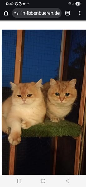 Karlchen und louis