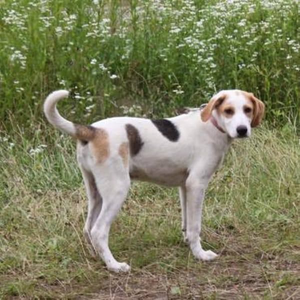 Sunny - gute Laune auf Familiensuche