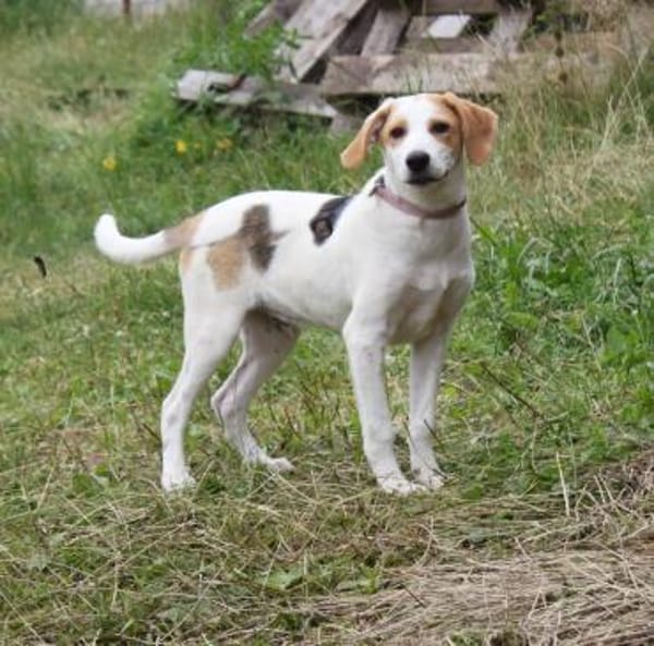 Sunny - gute Laune auf Familiensuche