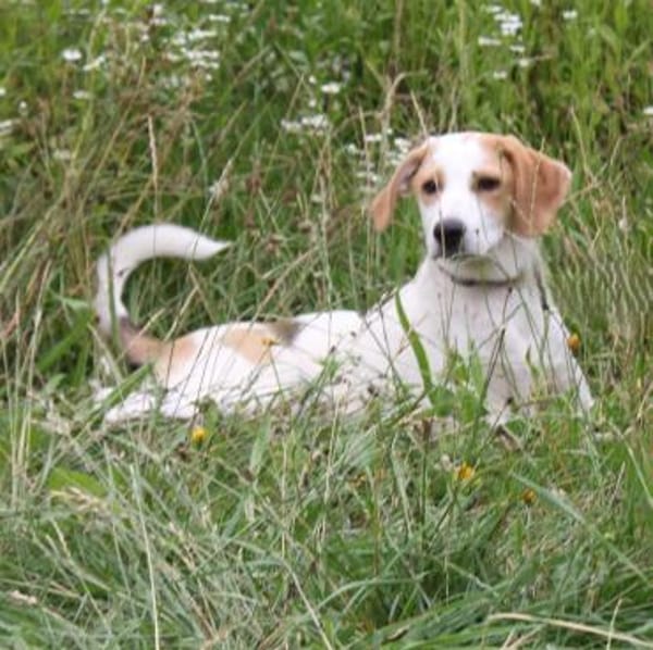 Sunny - gute Laune auf Familiensuche