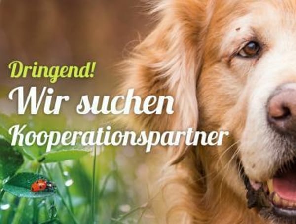 TH Franken sucht Kooperationspartner