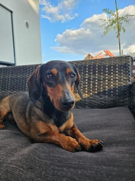 Malna sucht neues Zuhause