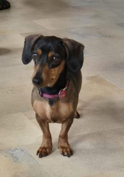 Malna sucht neues Zuhause