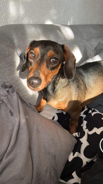 Malna sucht neues Zuhause