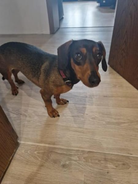 Malna sucht neues Zuhause