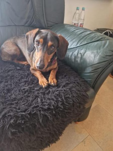 Malna sucht neues Zuhause