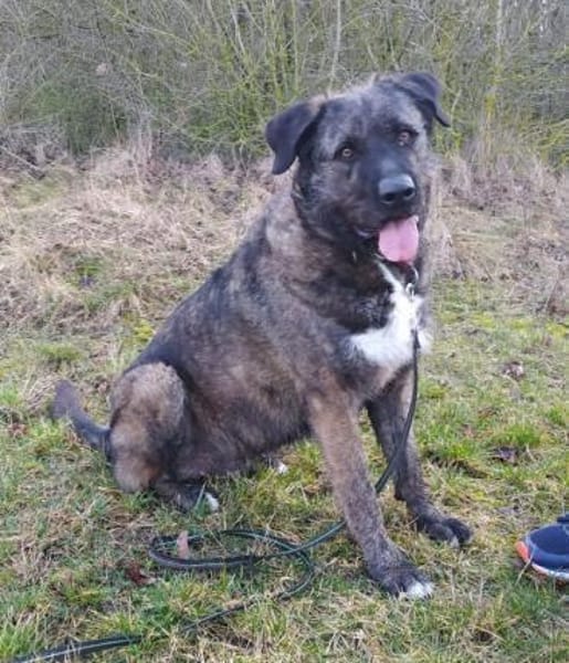 Duke wünscht sich so sehr eine 2. Chance