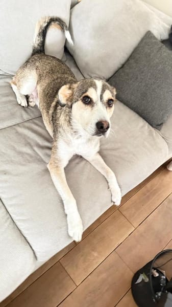 Akani, auf Pflege in NRW