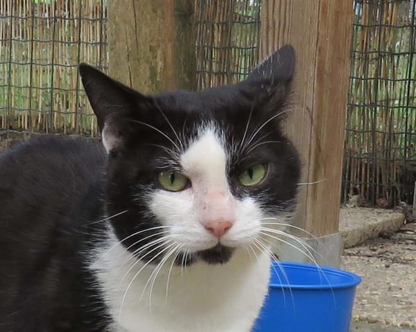 SALEM