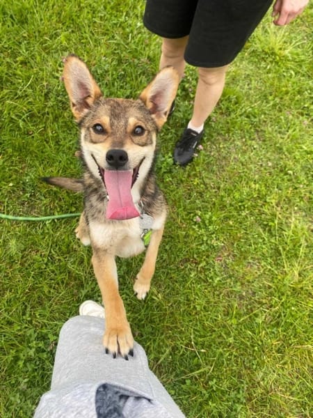 Turbo