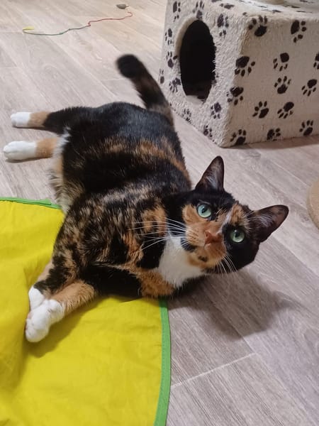 Louna