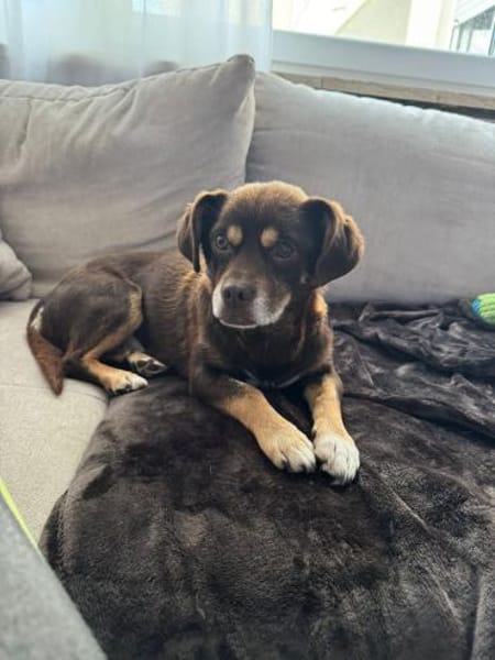 Padi erobert die Herzen 🐾