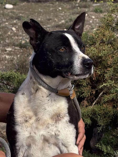 HUDSON (Maria)