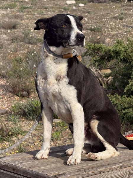 HUDSON (Maria)