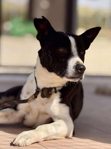 HUDSON (Maria)