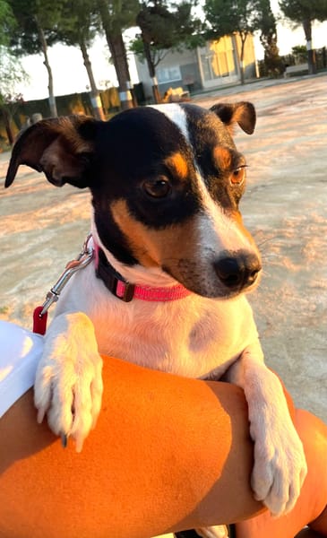 LUPE (Martina)