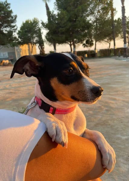 LUPE (Martina)