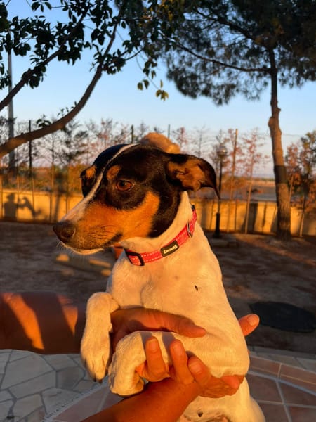 LUPE (Martina)
