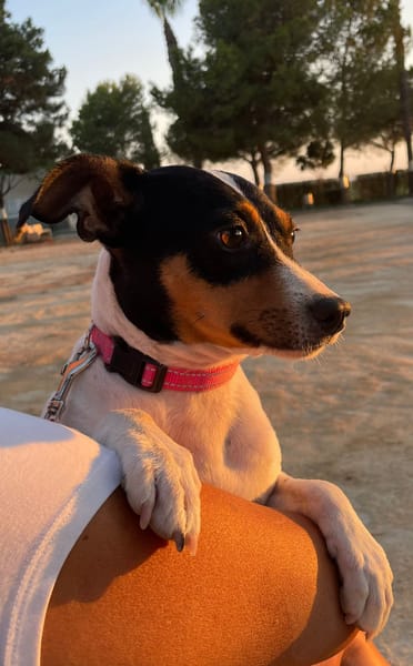 LUPE (Martina)