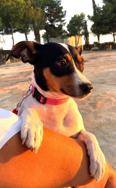LUPE (Martina)