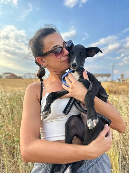 PUMBA (Animalea)