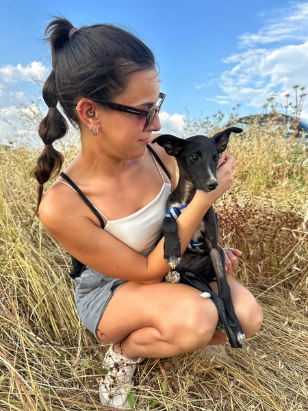 PUMBA (Animalea)