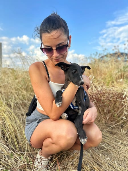 PUMBA (Animalea)