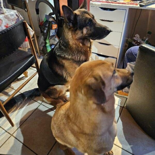 SAM et ORION