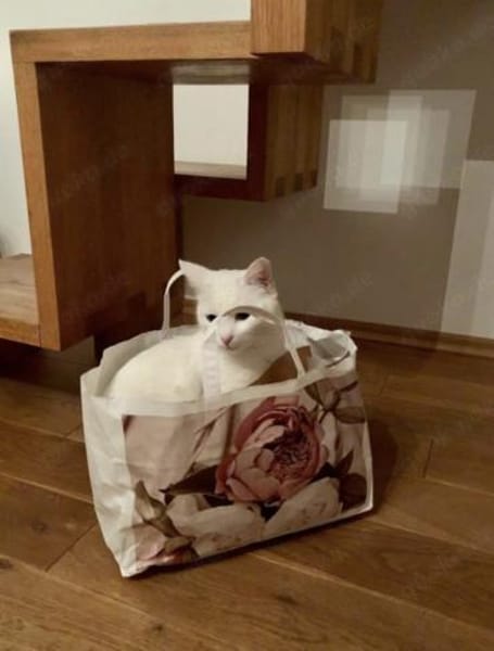 Geschwister Frieda und Mona