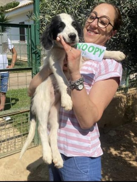Charmanter junger Snoopy