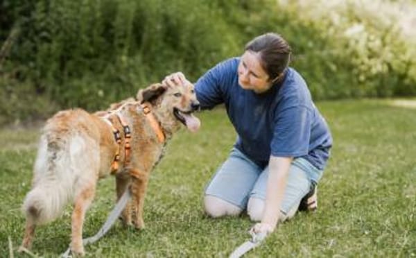 Bunny sucht ein liebevolles Zuhause