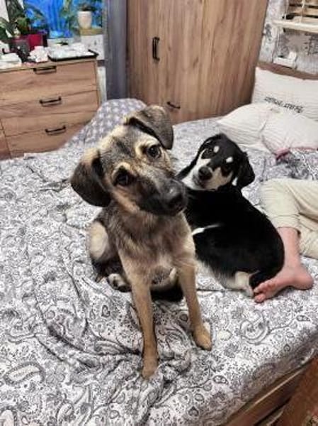 Nele möchte deine Familie bereichern♥