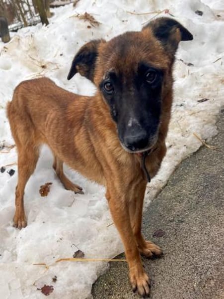 Hübsche RONJA wartet auf ihr Glück