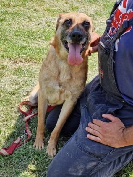 ‼🆘 RUBY in 91616 NEUSITZ ‼🆘