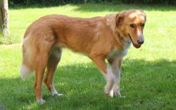 Nina - hübsche Griechin auf der Suche