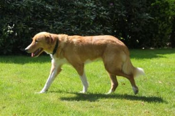 Nina - hübsche Griechin auf der Suche
