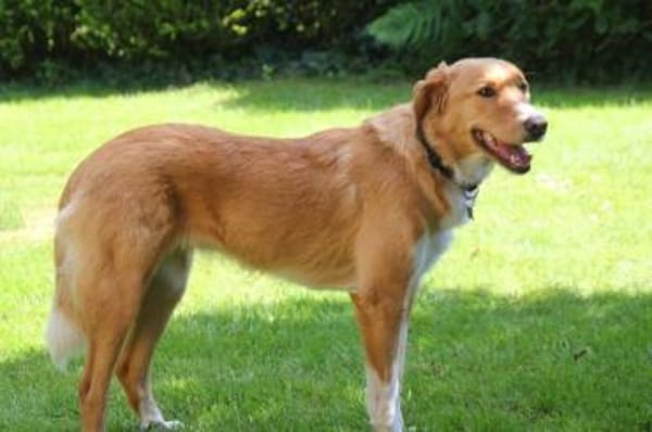 Nina - hübsche Griechin auf der Suche