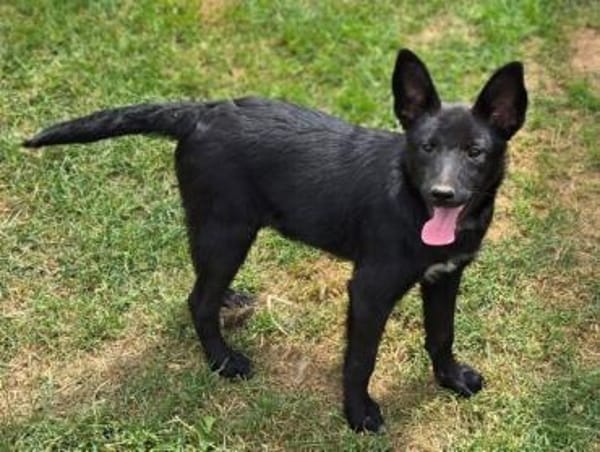 FREYA 2 sucht Familie