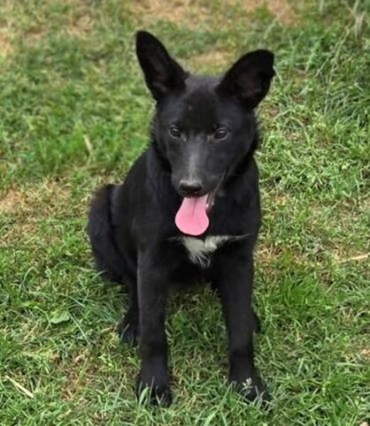 FREYA 2 sucht Familie
