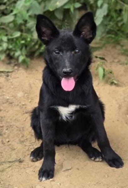 FREYA 2 sucht Familie
